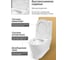 Унитаз напольный Bauedge Bau Dream безободковый, вихревой смыв - торнадо, усиленное быстросъемное сиденье дюропласт с микролифтом, белый BK0003-HQ5 3