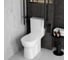 Унитаз-компакт напольный Vitra Conforma (Конформа) с сиденьем без микролифта, белый, санитарный фарфор, антибактериальное покрытие Hygiene (Хайджн) 9899B003-7200 6