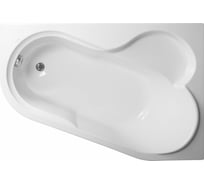 Акриловая ванна VAGNERPLAST SELENA 147x100 Right VPBA141SEL3PE-04
