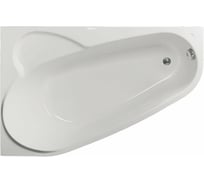 Акриловая ванна VAGNERPLAST SELENA 160x105 Left VPBA163SEL3LX-04