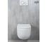 Подвесной унитаз GID Tr2133TF 62262Y 4