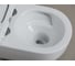 Унитазы Ceramicanova CN3001T 6