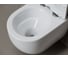 Унитазы Ceramicanova CN3001T 8