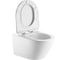 Унитаз с сиденьем подвесной Aquanet (Soft Close-SLIMSEAT) Cetus 3.0 W Full Size TORNADO 00354303 2
