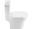 Чаша с сиденьем Aquanet Гранд 3.0 C1 TORNADO (Soft Close-SLIMSEAT) для унитаза напольного (379615) 00379615 4