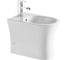 Напольное биде Aquanet Roll-B CL-12249F 210768 00210768 1