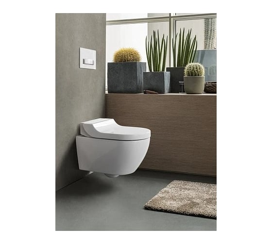 Унитаз и крышка-биде GEBERIT AquaClean Tuma Comfort 146.294.SI.1 00000054045