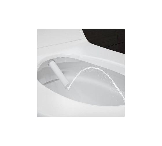 Унитаз и крышка-биде GEBERIT AquaClean Tuma Comfort 146.294.SI.1 00000054045