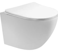 Подвесной безободковый унитаз AQUATEK 490х360х320 мм AQ1900 00000107122