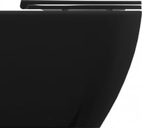 Чаша приставного унитаза ALLEN BRAU Reality 4.32004.31 черный 00280173