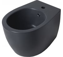 Подвесное биде ALLEN BRAU Fantasy 4.11006.AN 00274755