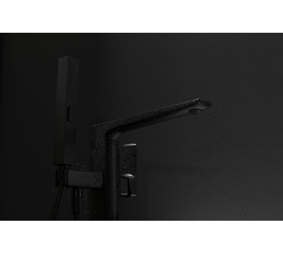 Акриловая ванна ALLEN BRAU Priority 170x80 белый матовый, панель антрацит 2.31002.21/AM 00291971