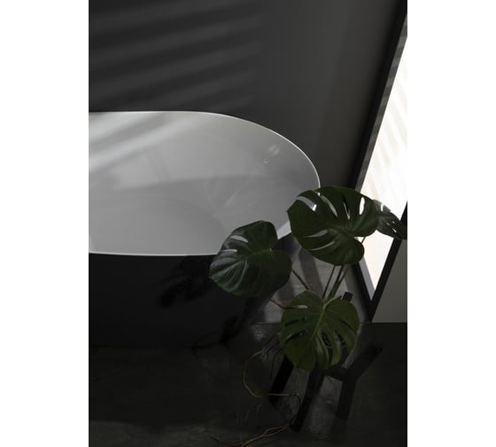 Акриловая ванна ALLEN BRAU Priority 170x80 белый глянец панель антрацит 2.31002.20/AM 00291970