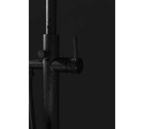 Акриловая ванна ALLEN BRAU Priority 170x80 белый глянец, панель антрацит 2.31001.20/AM 00291967