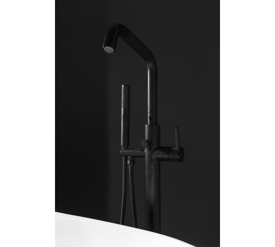 Акриловая ванна ALLEN BRAU Priority 170x80 белый глянец, панель антрацит 2.31001.20/AM 00291967