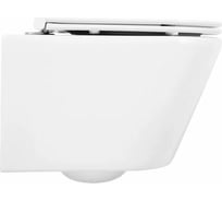 Подвесной унитаз BelBagno TRE безободковый с сиденьем Soft Close BB8001CHR/SC