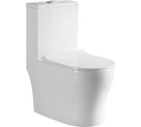 Унитаз EVA GOLD Монолит T1060 UF, безободковый, сиденье дюропласт, с гофрой и подводкой УТ-00005003