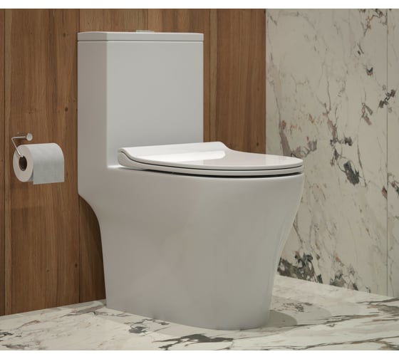 Унитаз EVA GOLD Монолит T1060 UF, безободковый, сиденье дюропласт, с гофрой и подводкой УТ-00005003