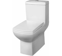 Унитаз-монолит EVA GOLD T1020UF сиденье ДП, с гофрой и подводкой УТ-00001508