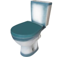 Унитаз-компакт Rosa Соло зелёный декор Вн УнЗ313