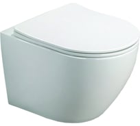 Подвесной безободковый унитаз Azario Grado с сидением микролифт 490x370x360 мм AZ-0046 SP