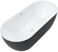 Акриловая ванна Aquanet DELIGHT 170x70 см, Black matte 00289723
