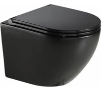 Подвесной унитаз AQUATEK AQ1901-MB ЕВРОПА безободковый 00000119752