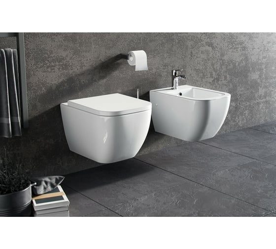 Подвесной унитаз Excellent Ness CENL.3509.500.WH
