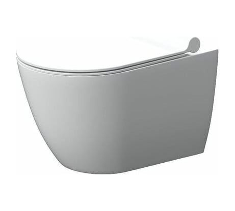 Подвесной унитаз Damixa Apollo без ободка, с сиденьем микролифт DX22C1700SC