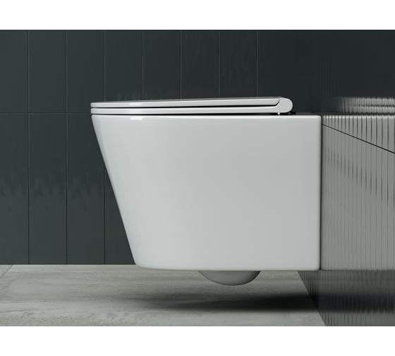Подвесной унитаз Ceramicanova Rimless CN3011