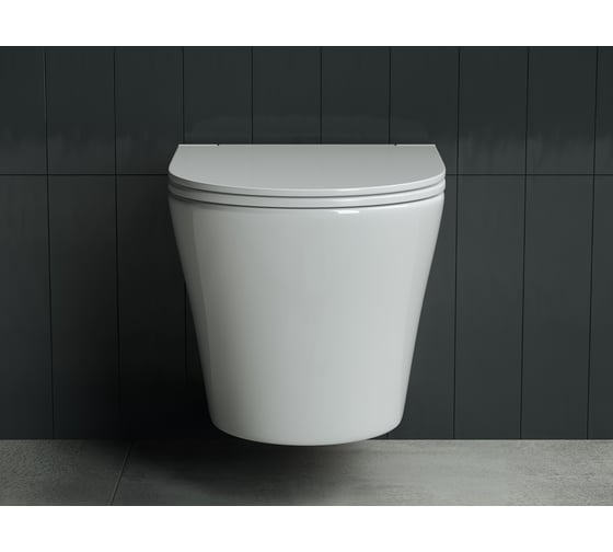 Подвесной унитаз Ceramicanova Rimless CN3011