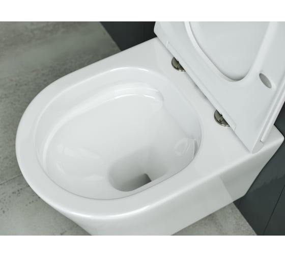 Подвесной унитаз Ceramicanova Rimless CN3011