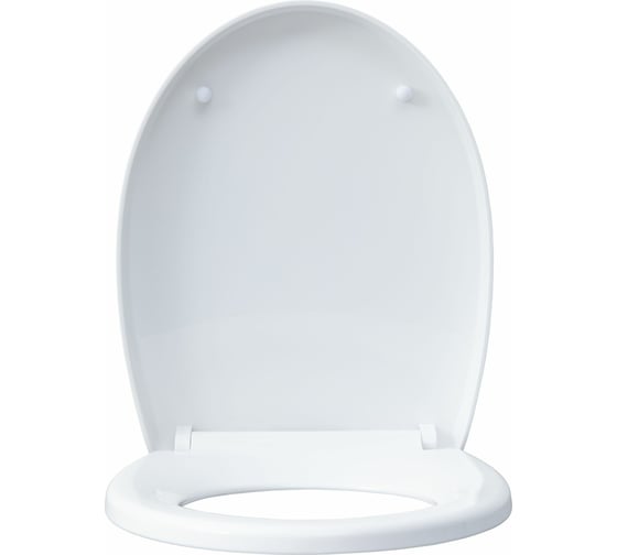 Подвесной унитаз с сидением Aquanet ZVEZDA -1 Soft Close -SLIMSEAT 00303977
