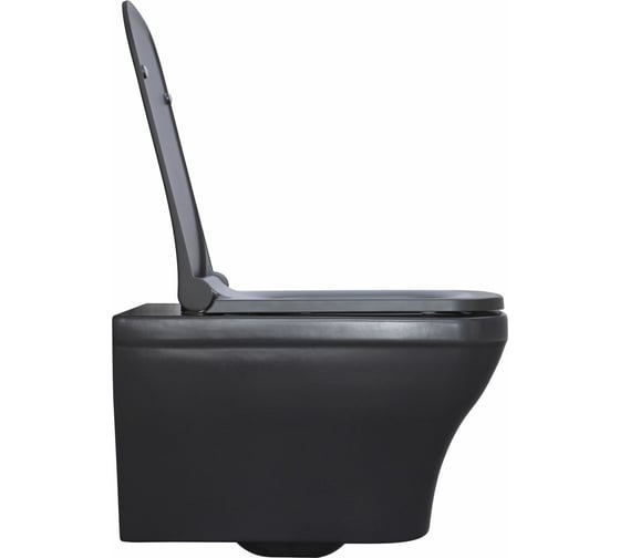 Подвесной унитаз ALLEN BRAU INFINITY 2 без сиденья 4.21011.AN 00301924
