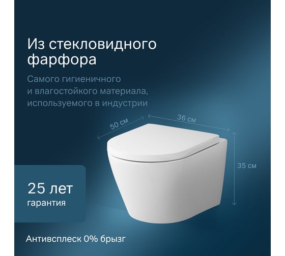 Подвесной унитаз AM.PM Sense FlashClean с сиденьем микролифт C741701SC