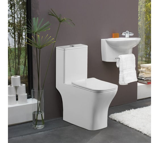 Напольный унитаз моноблок Azario lodi 665x350x750 с сиденьем микролифт az-8617 00079068