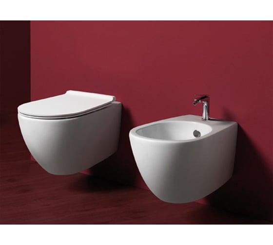 Подвесной унитаз SIMAS TREVI "Rimless" размер 56x37 цвет белый TR 18 bia