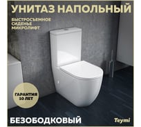 Напольный унитаз Teymi Lina безободковый, сиденье микролифт T40103 ЦБ-00264840