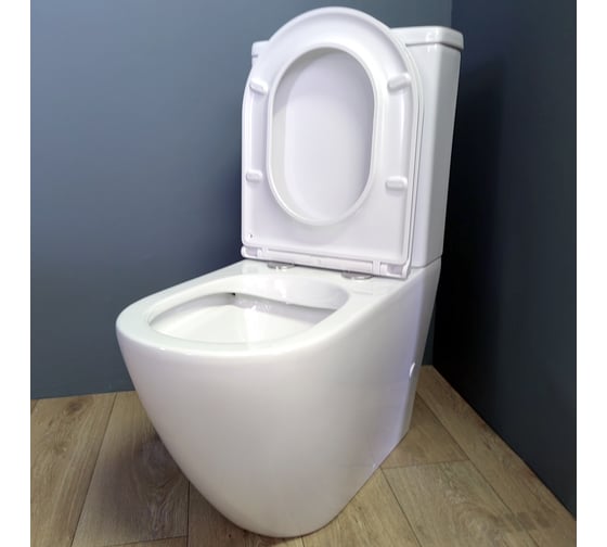 Напольный унитаз Teymi Lina безободковый, сиденье микролифт T40103 ЦБ-00264840