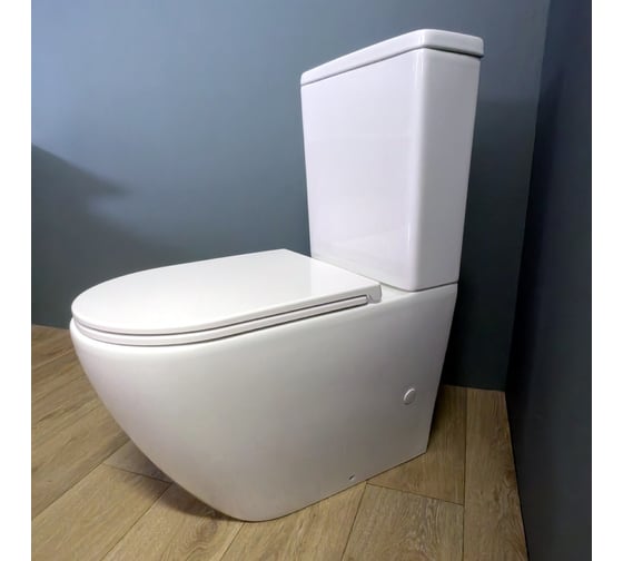 Напольный унитаз Teymi Lina безободковый, сиденье микролифт T40103 ЦБ-00264840