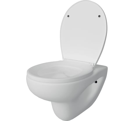 Подвесной унитаз Teymi Hanna Pro безободковый, сиденье микролифт T40901 ЦБ-00267263