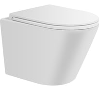 Подвесной безободковый унитаз AVIMANO Intuition с сиденьем микролифт, белый матовый 1000071