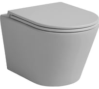 Подвесной безободковый унитаз AVIMANO Intuition с сиденьем микролифт, серый матовый 1000073