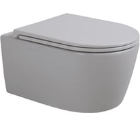 Подвесной безободковый унитаз AVIMANO Ambition с сиденьем микролифт, серый матовый 1000053