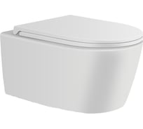 Подвесной безободковый унитаз AVIMANO Ambition с сиденьем микролифт, белый матовый 1000051