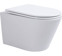 Подвесной безободковый унитаз AVIMANO Intuition с сиденьем микролифт, белый глянцевый 1001060