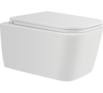 Подвесной безободковый унитаз AVIMANO VISION с сиденьем микролифт, белый матовый 1000041