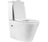 Унитаз напольный с торнадо смывом безободковый с сиденьем с микролифтом BOND F03-00 8