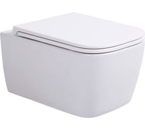 Подвесной унитаз Sintesi безободковый BALTI с крышкой-сиденьем дюрапласт, микролифт SIN-TS-BLT-171