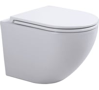 Подвесной унитаз Sintesi безободковый EVI с крышкой-сиденьем дюрапласт, микролифт SIN-TS-EVI-151